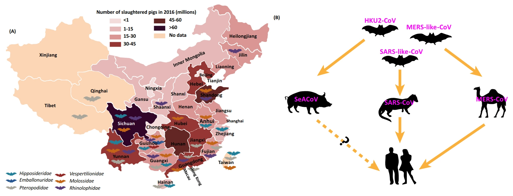 covid gamurebis gavrceleba