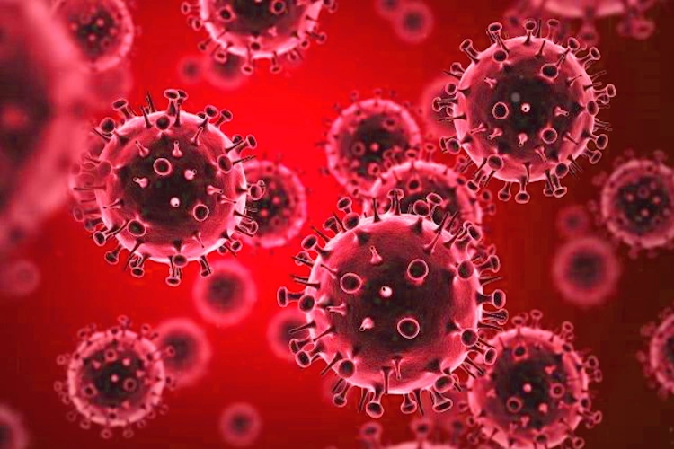 home_page_Statiebi_virusebi